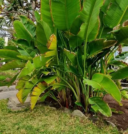 Casas Carmen - Adults Only Apartment Playa del Ingles (Gran Canaria)